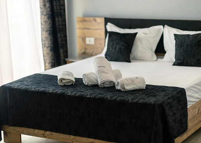 Guest house Adamz Vama Veche